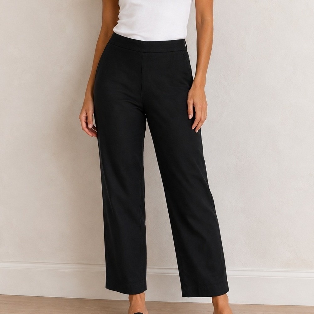 Eileen Fisher Tencel Pull On Ankle Pants Quiet Luxury Old Money Dark Academia